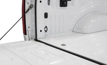 Load image into Gallery viewer, Photo - Mounted
